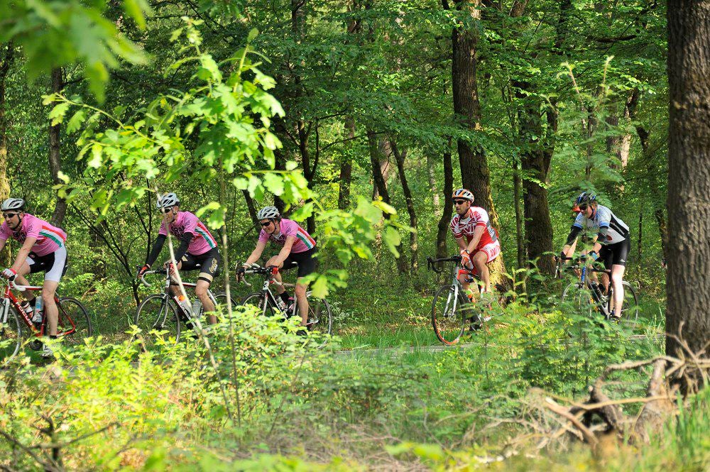 Mountain_Bike_Parcours_010.jpg