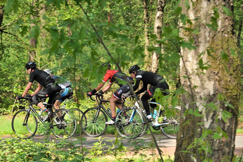 Mountain_Bike_Parcours_012.jpg