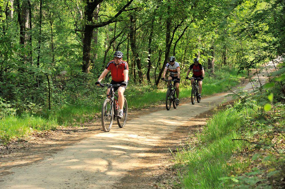 Mountain_Bike_Parcours_014.jpg