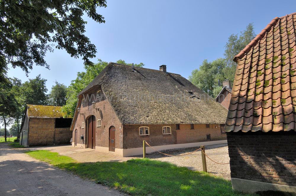 Nederwoud .