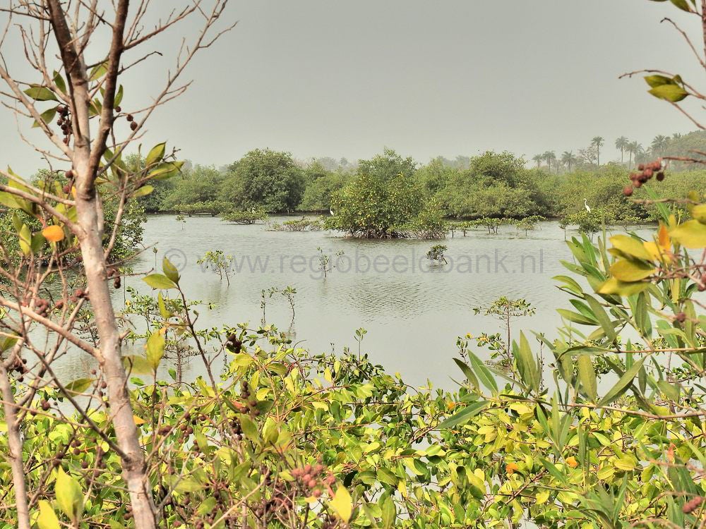 North_Bank_2016_394.jpg