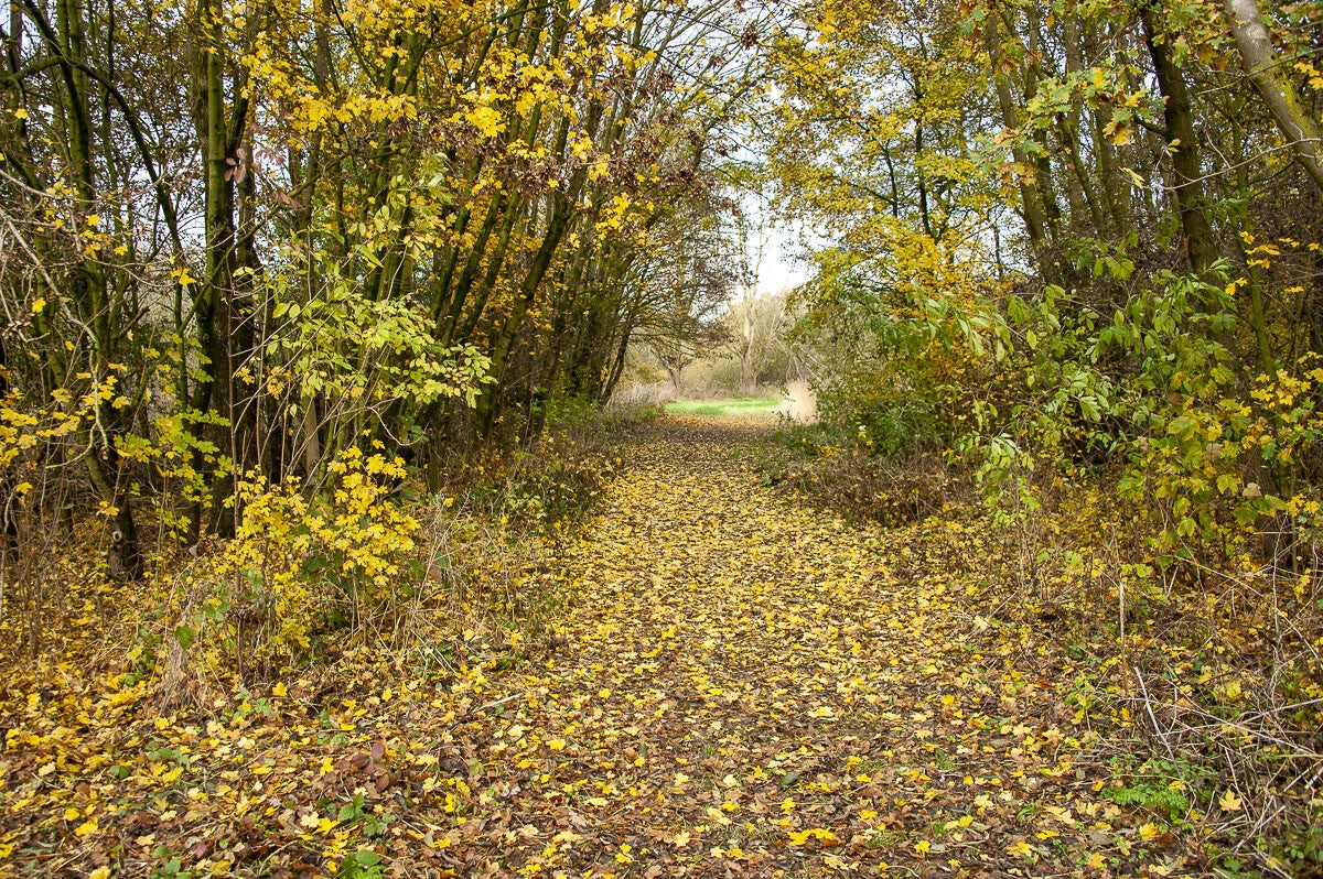 Nywellepad_004-1.jpg
