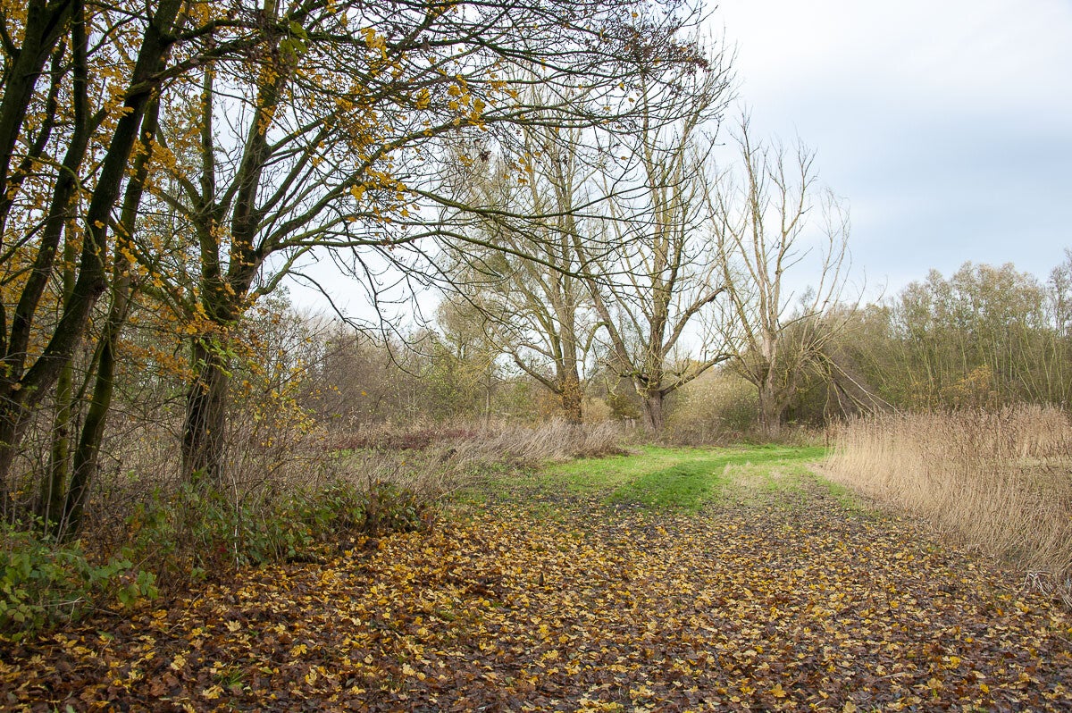 Nywellepad_006-1.jpg