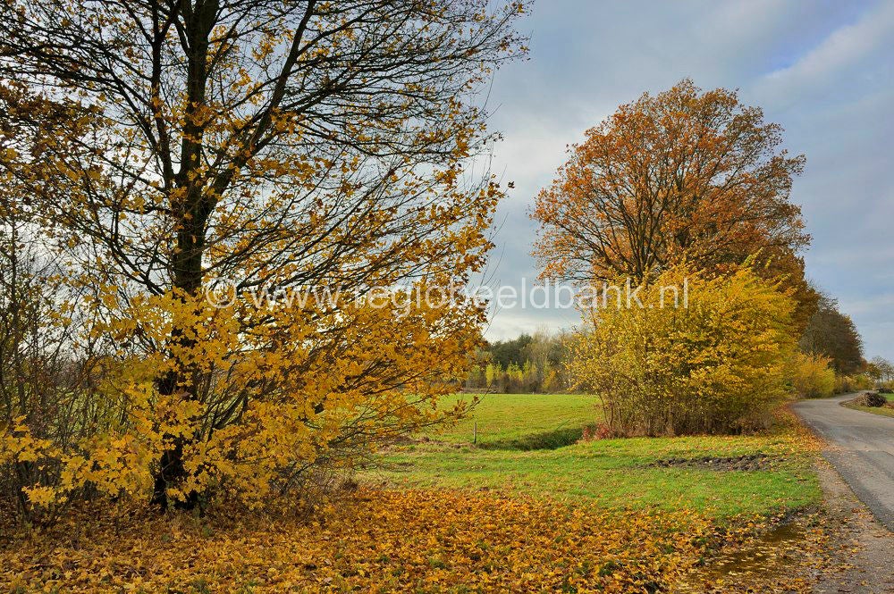 Nywellepad_014.jpg