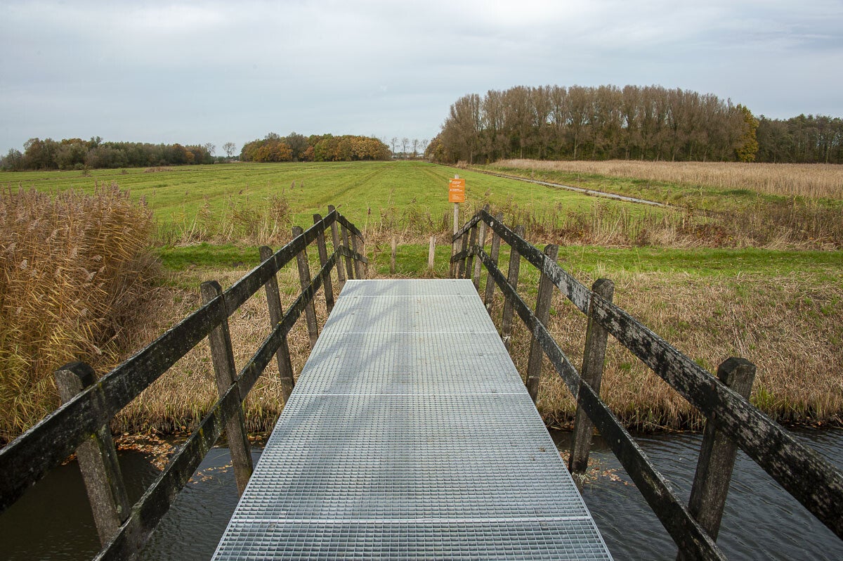 Nywellepad_015-1.jpg