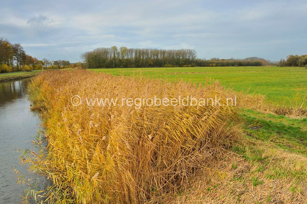 Nywellepad_016.jpg