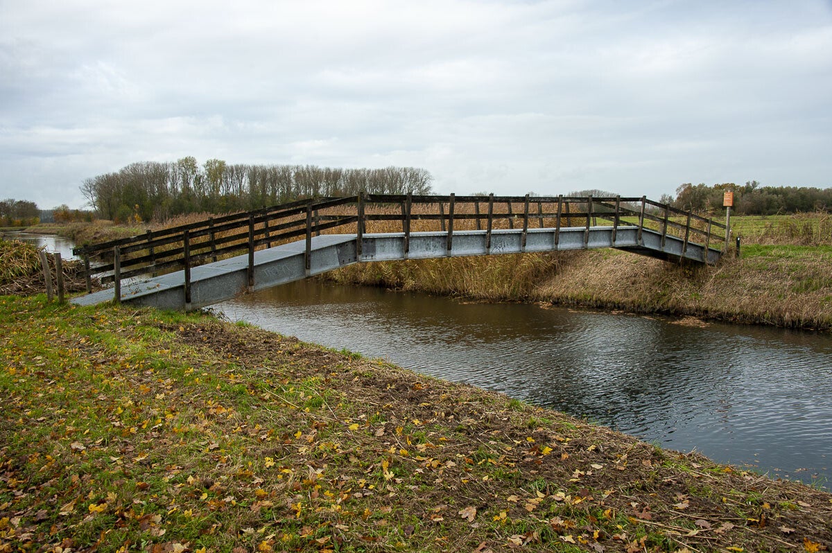 Nywellepad_017-1.jpg