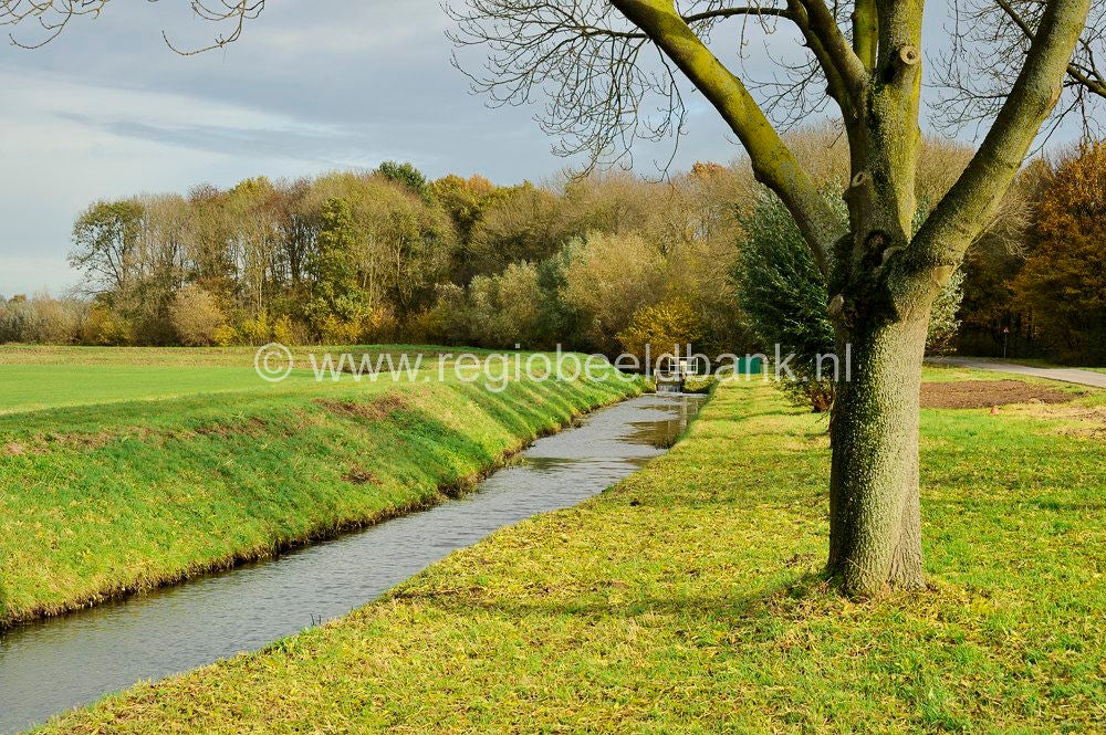 Nywellepad_018.jpg