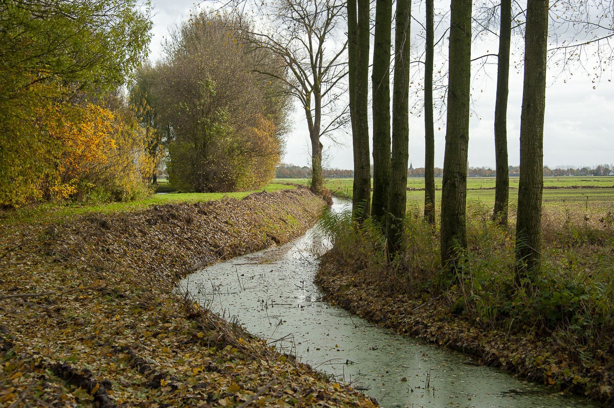 Nywellepad_019-1.jpg