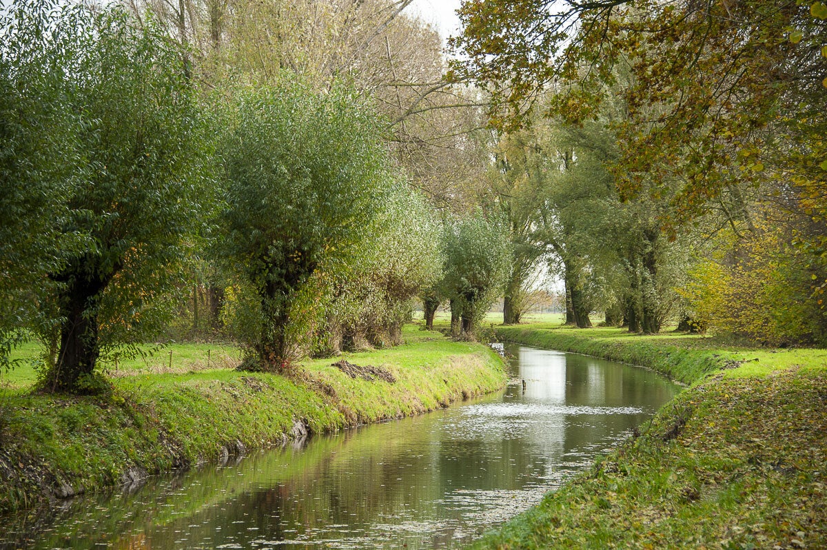 Nywellepad_021-2.jpg