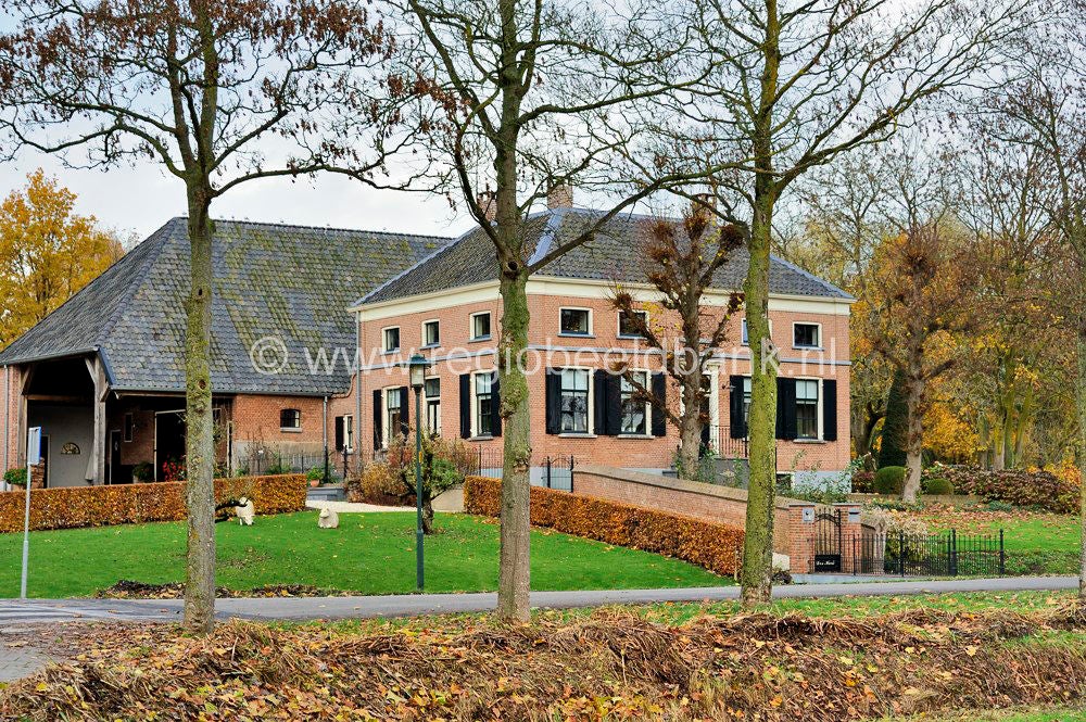 Nywellepad_022.jpg