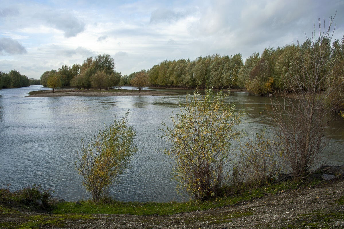 Nywellepad_023-1.jpg