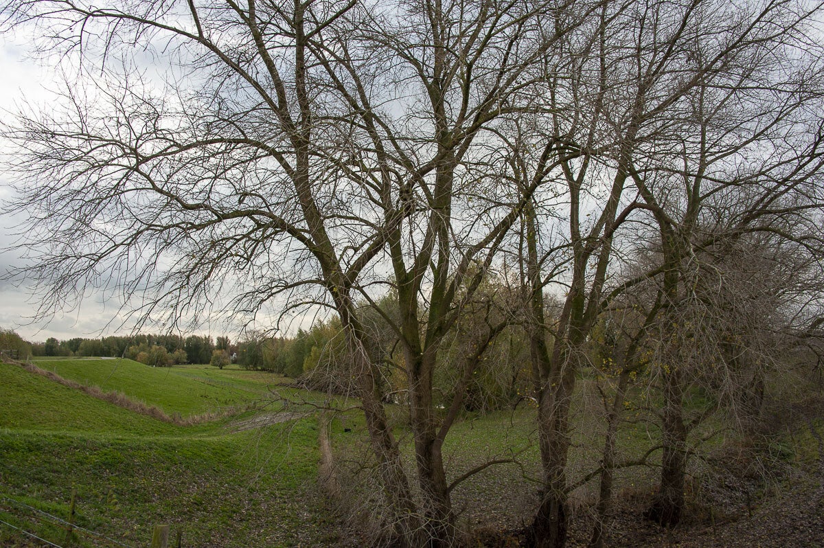 Nywellepad_025-1.jpg