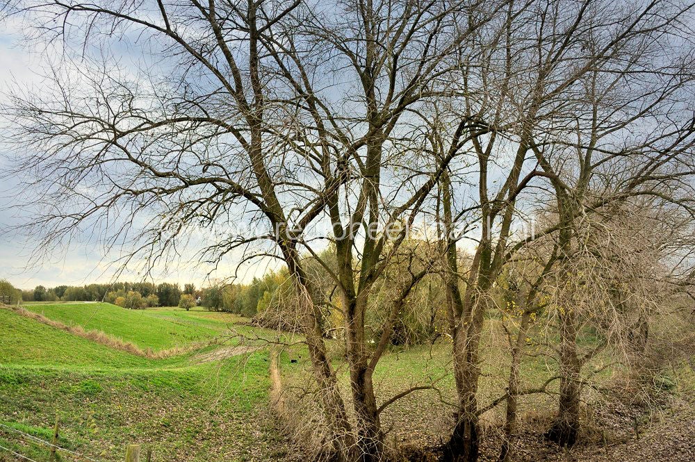 Nywellepad_025.jpg