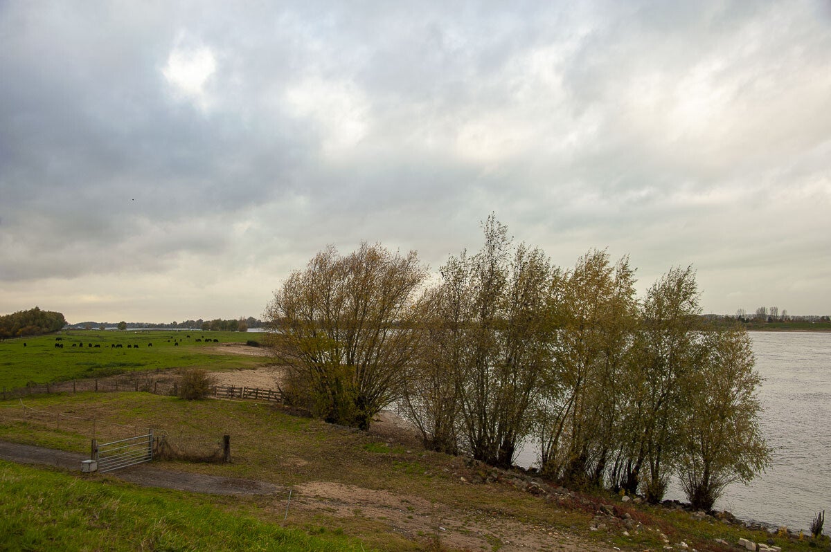 Nywellepad_035.jpg