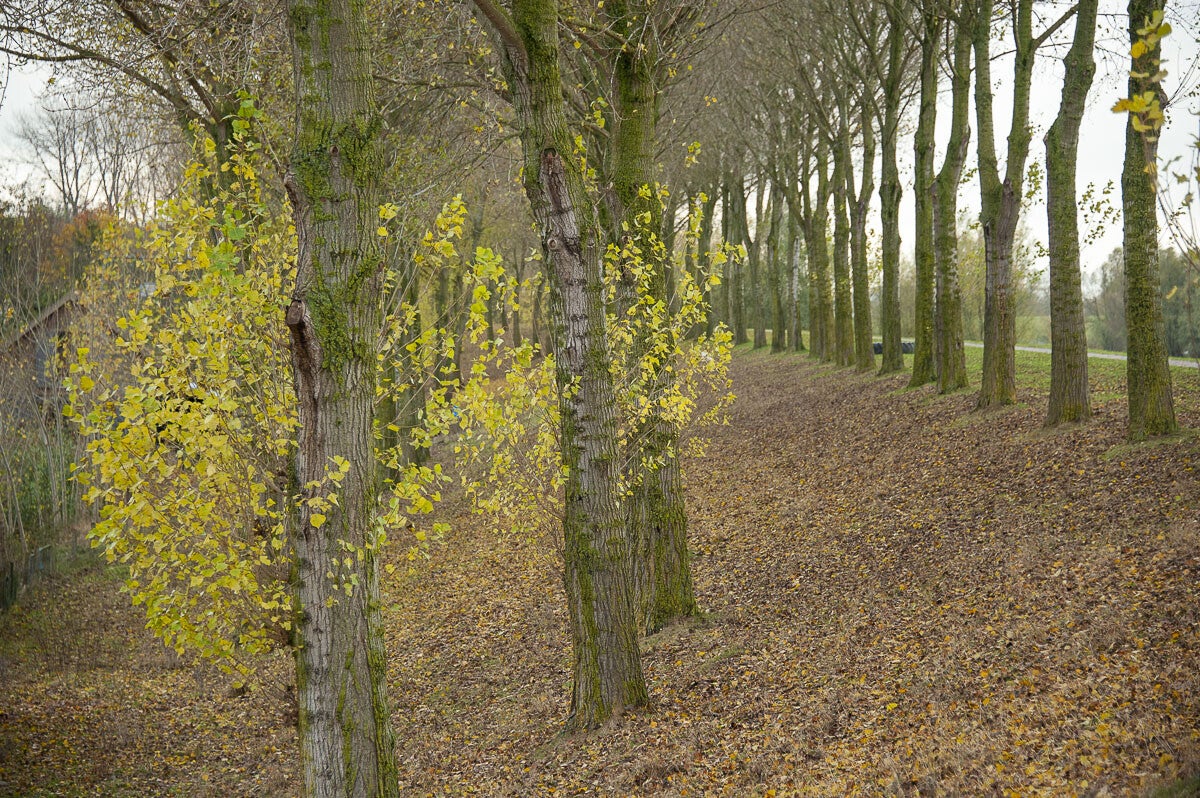 Nywellepad_037-1.jpg