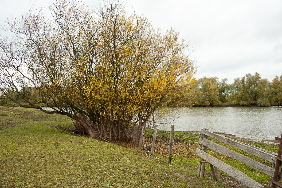 Nywellepad_039-1.jpg