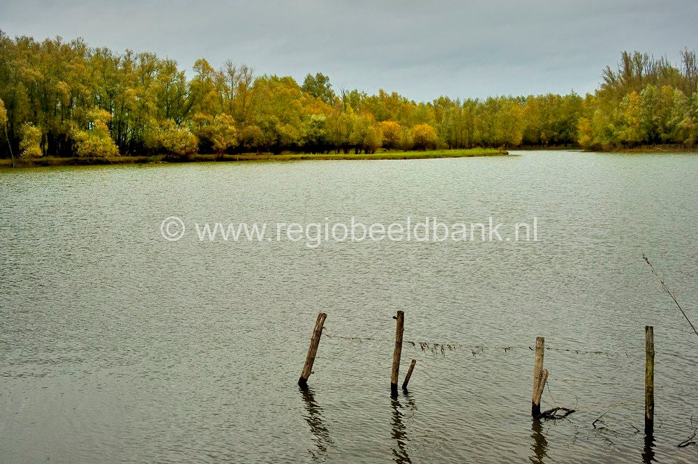 Nywellepad_040.jpg
