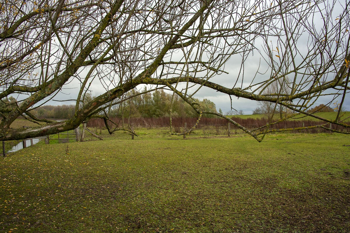Nywellepad_041-1.jpg