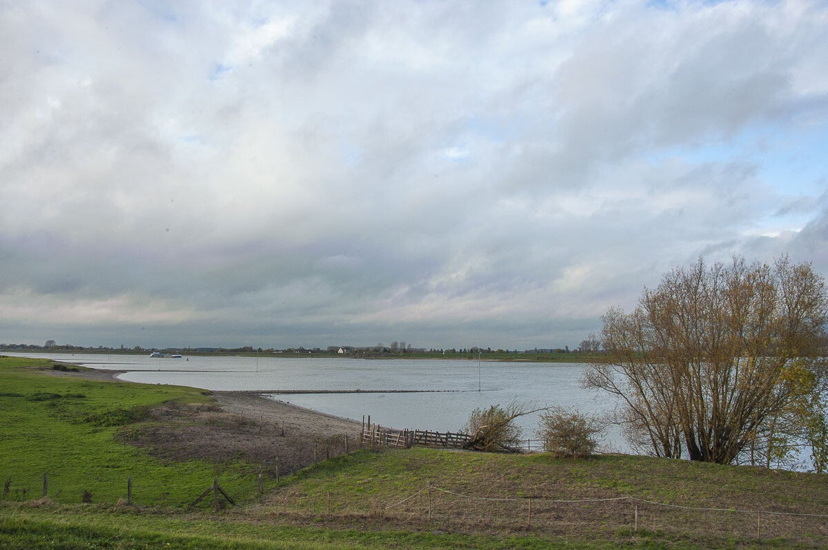 Nywellepad_044-1.jpg