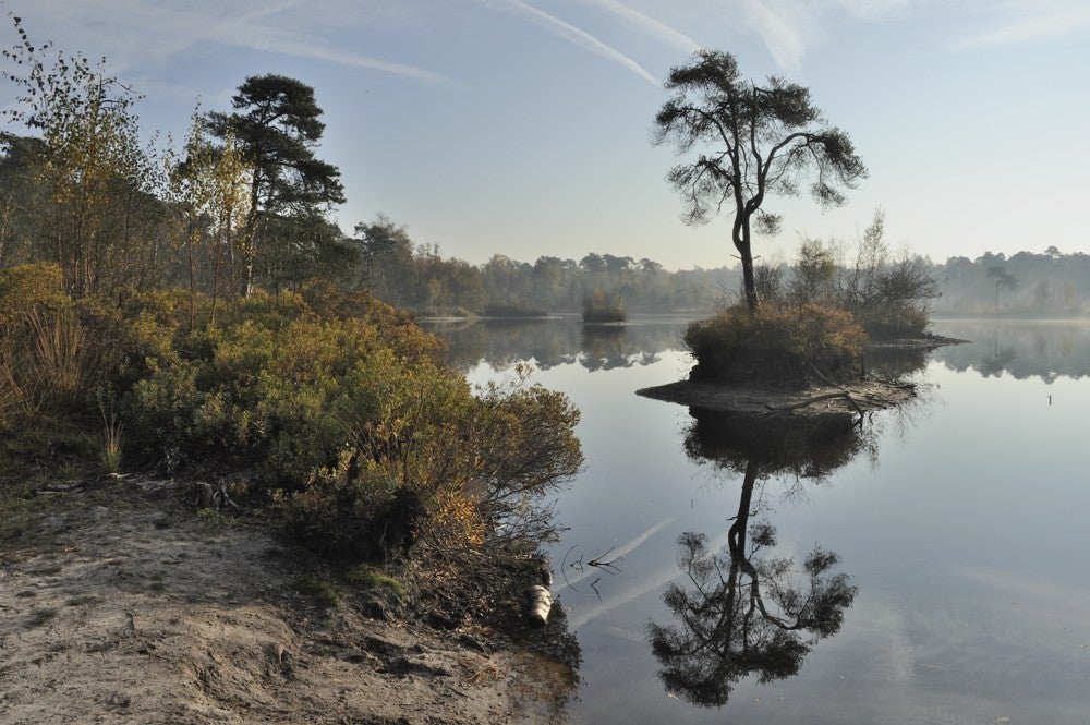 Oisterwijkse_vennen_010.jpg