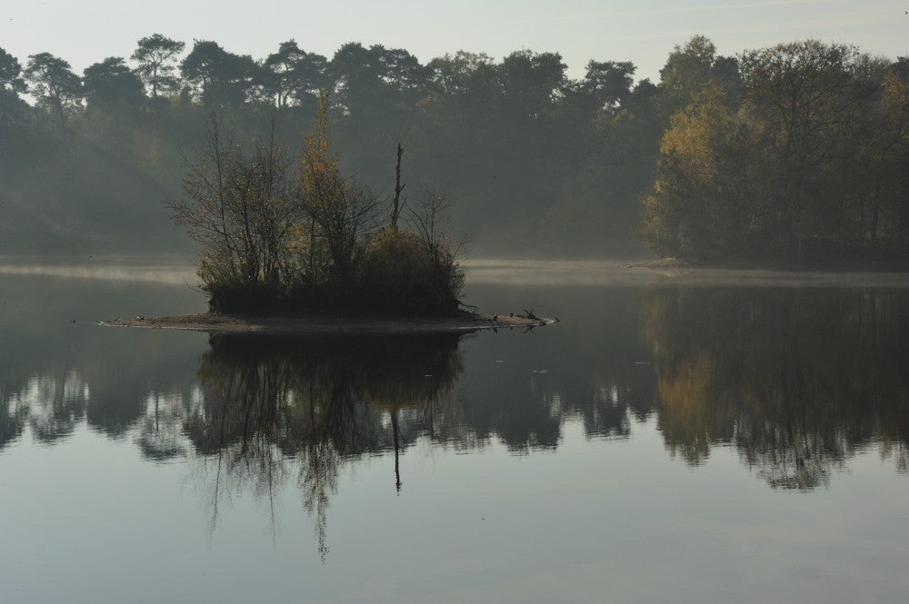 Oisterwijkse_vennen_013.jpg