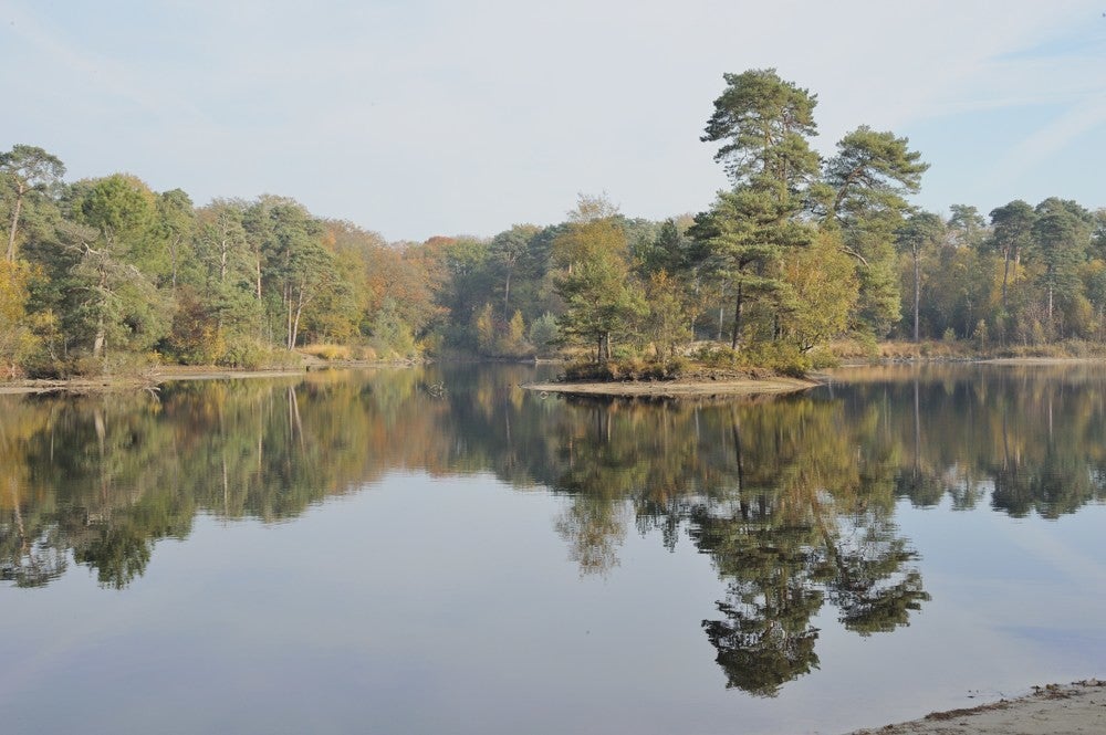 Oisterwijkse_vennen_021.jpg