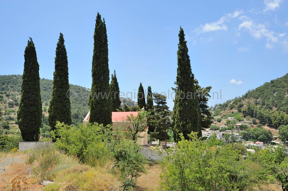 Omalo_plateau_Lassithi_004.jpg