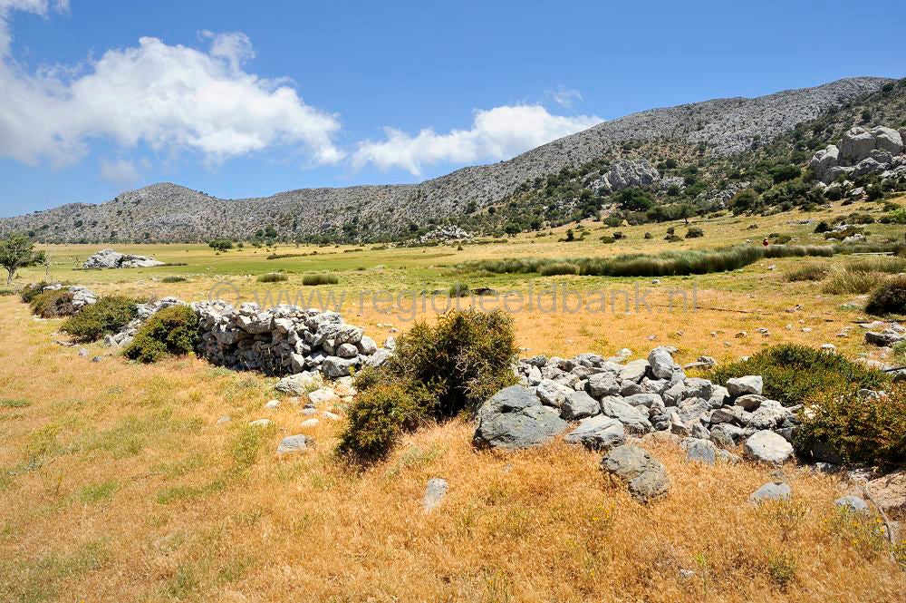 Omalo_plateau_Lassithi_033.jpg