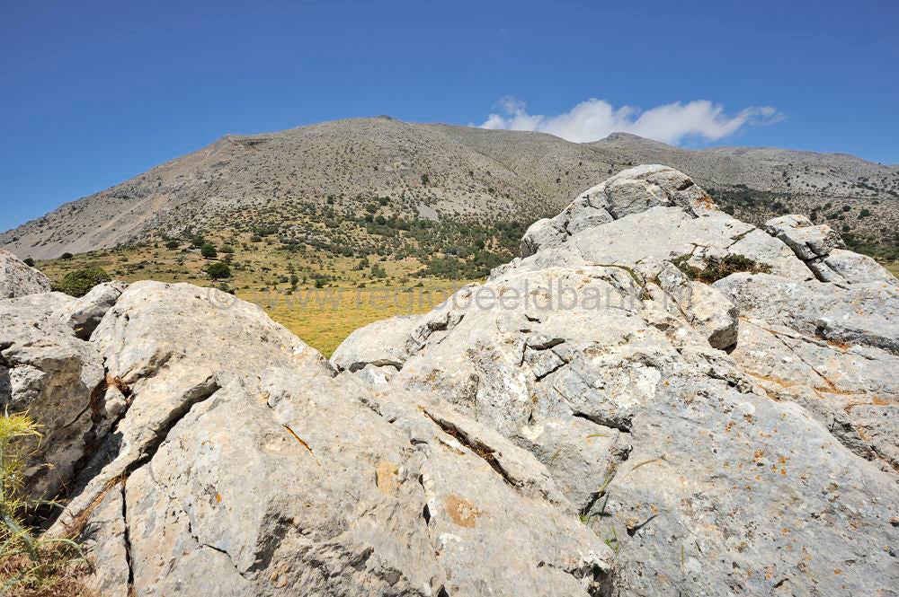 Omalo_plateau_Lassithi_039.jpg