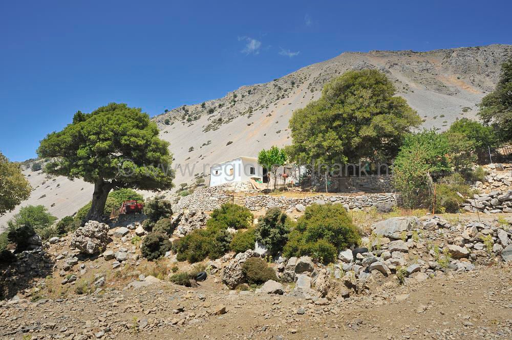 Omalo_plateau_Lassithi_053.jpg