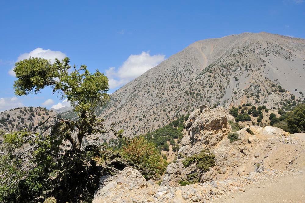 Omalo_plateau_Lassithi_058.jpg