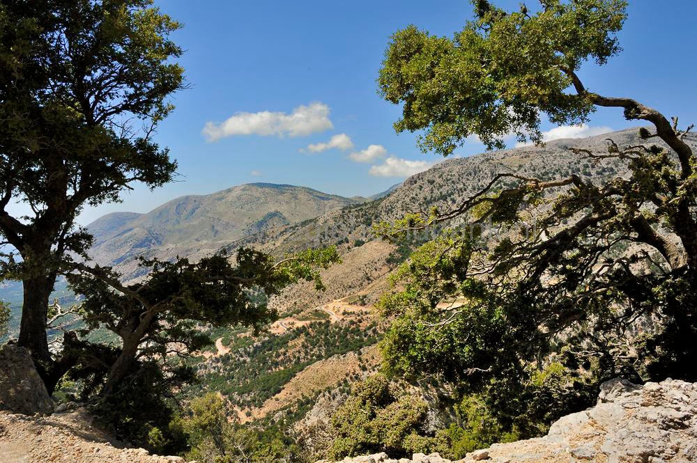 Omalo_plateau_Lassithi_062.jpg