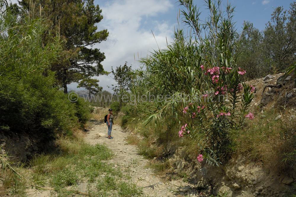Orinokloof