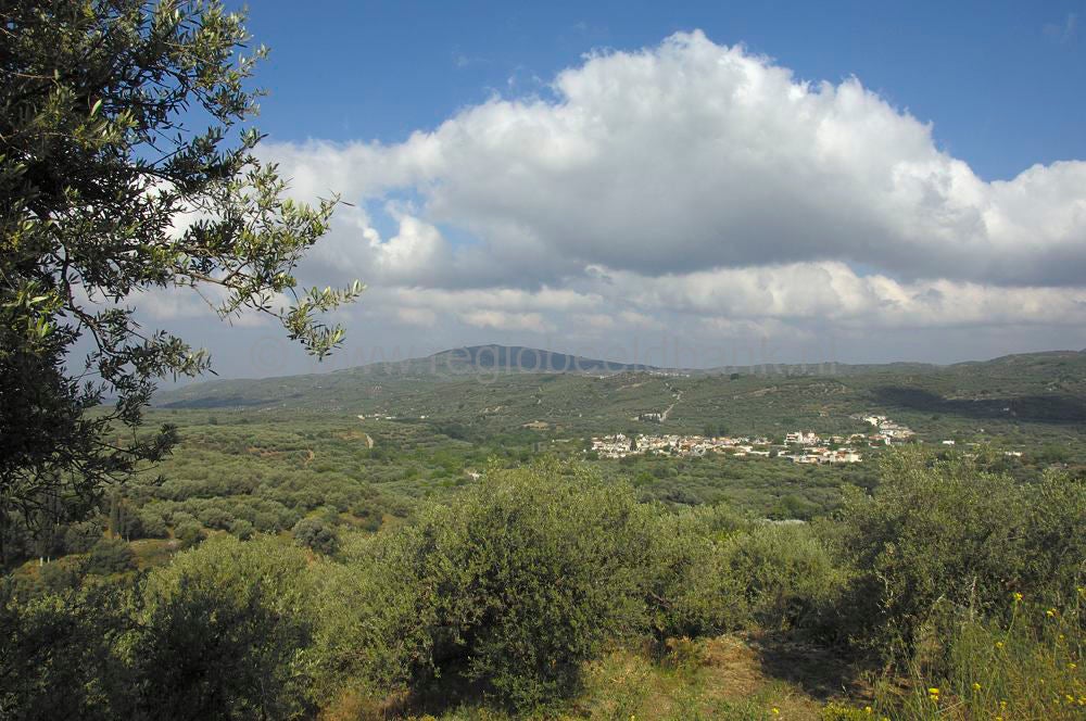 Oros Dikti