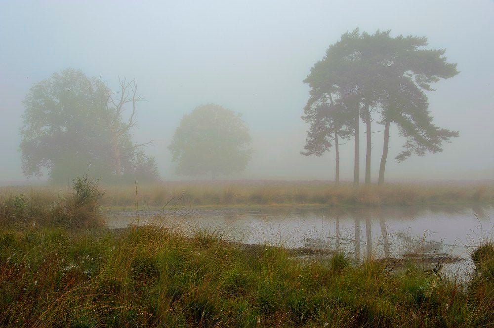 Overasseltse_en_Hatertse_Vennen_007.jpg