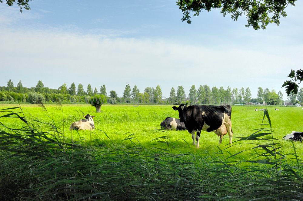 Overlangbroek_014.jpg