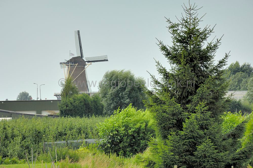 Overlangbroek_018.jpg