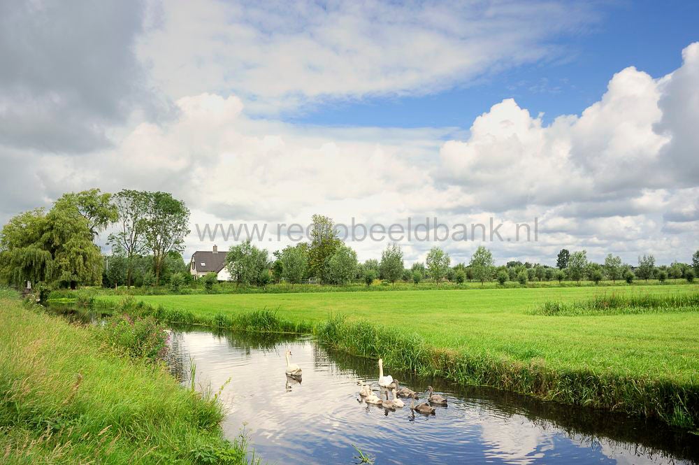 Overlangbroek_034.jpg