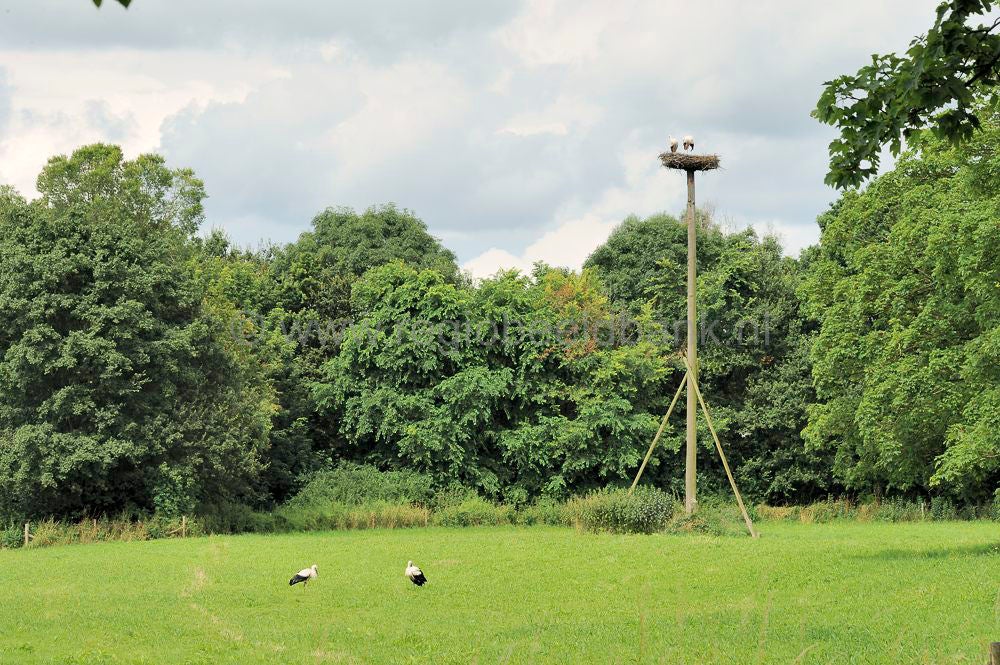 Overlangbroek_044.jpg