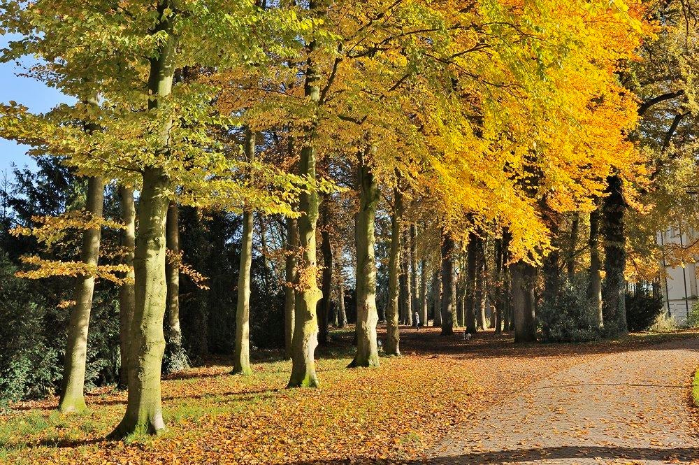 Park-Huize_Scherpenzeel_003.jpg