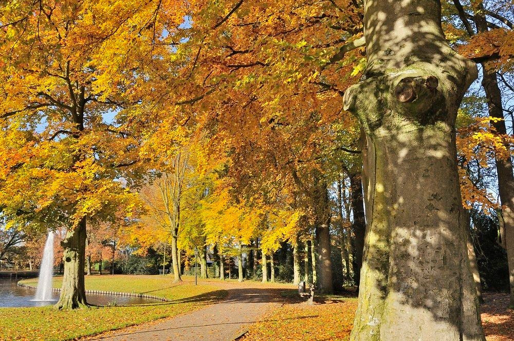 Park-Huize_Scherpenzeel_007.jpg