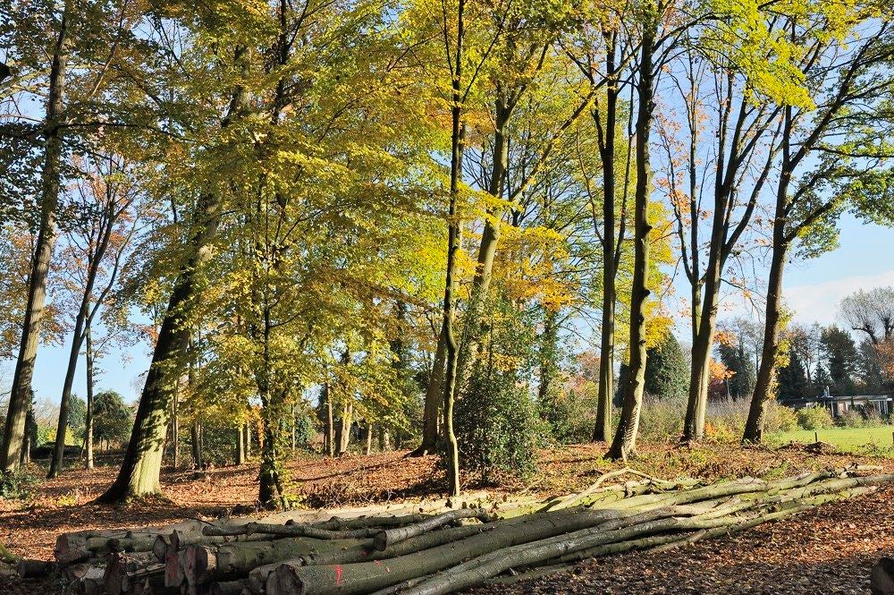 Park-Huize_Scherpenzeel_010.jpg