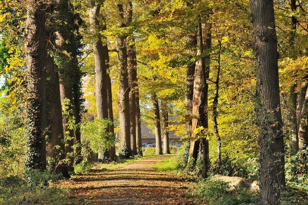 Park-Huize_Scherpenzeel_012.jpg