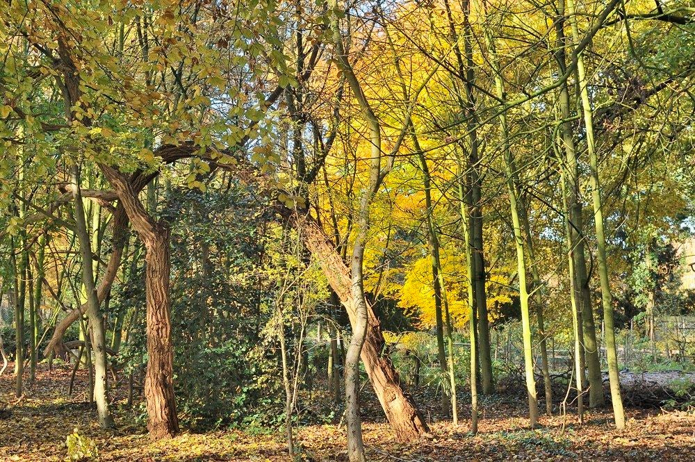 Park-Huize_Scherpenzeel_014.jpg