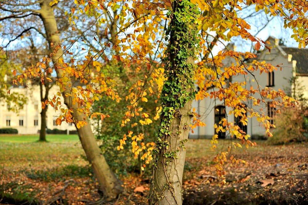 Park-Huize_Scherpenzeel_024.jpg