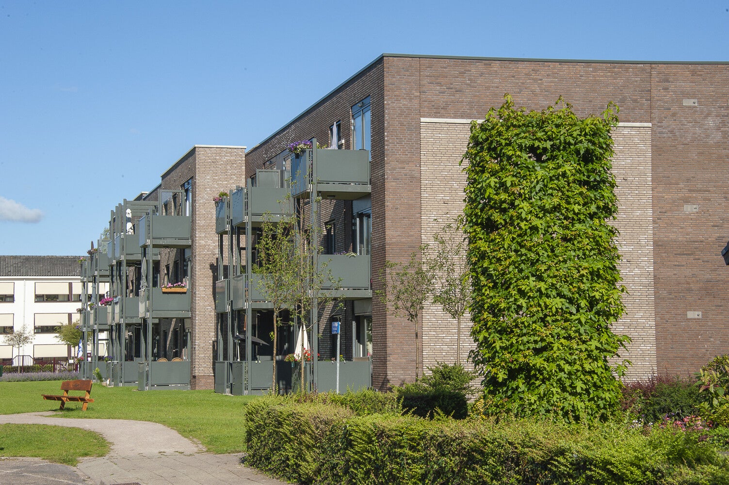Parklaan_0250-1.jpg
