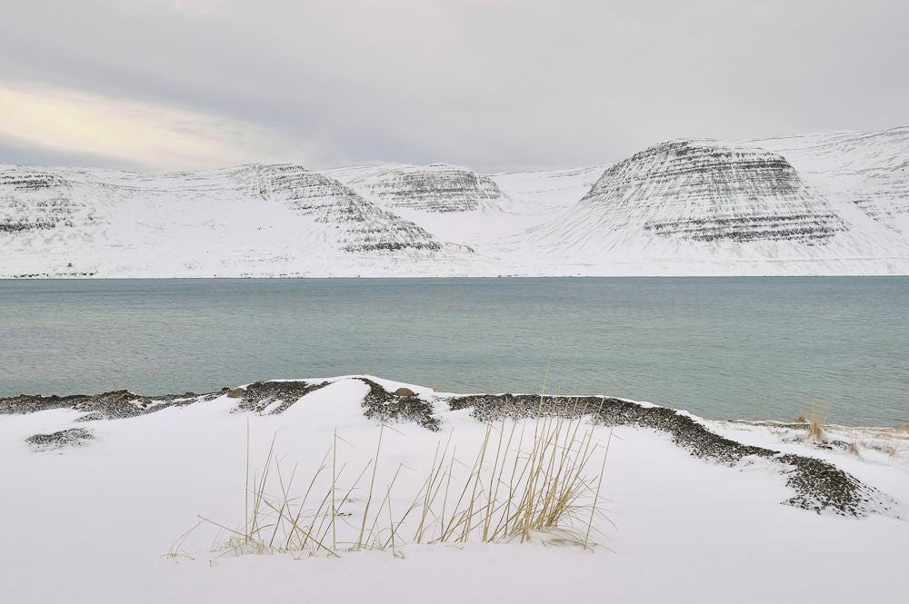 Patreksfjördur