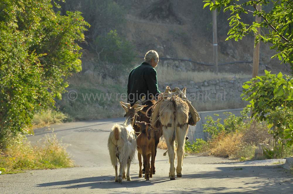 Pefki_AgioStefanos_kreta_0626a0670-1.jpg