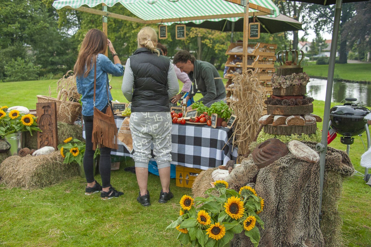 PicknickValley_150-2.jpg